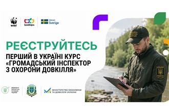 Інспектор