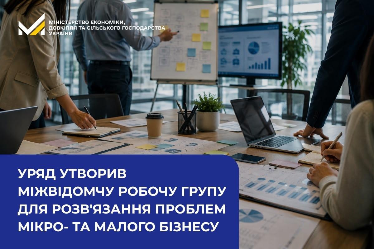 Уряд утворив Міжвідомчу робочу групу для розв'язання проблем мікро- та малого бізнесу