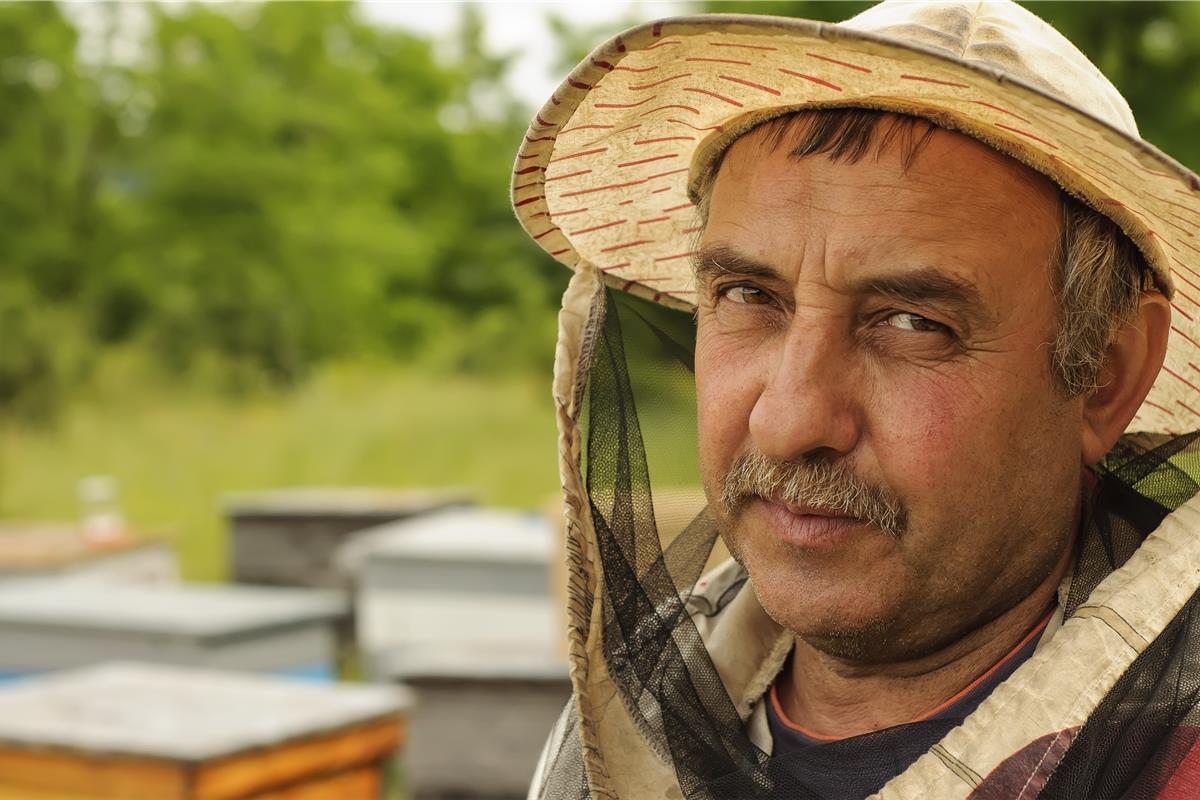 єРобота: “Мед України” вивів свою продукцію на міжнародний ринок