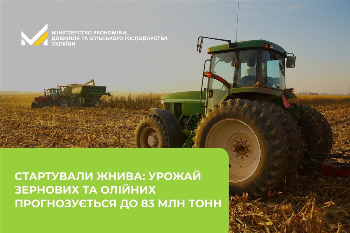 Жнива