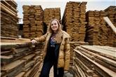єРобота: На Львівщині розвивають деревообробку
