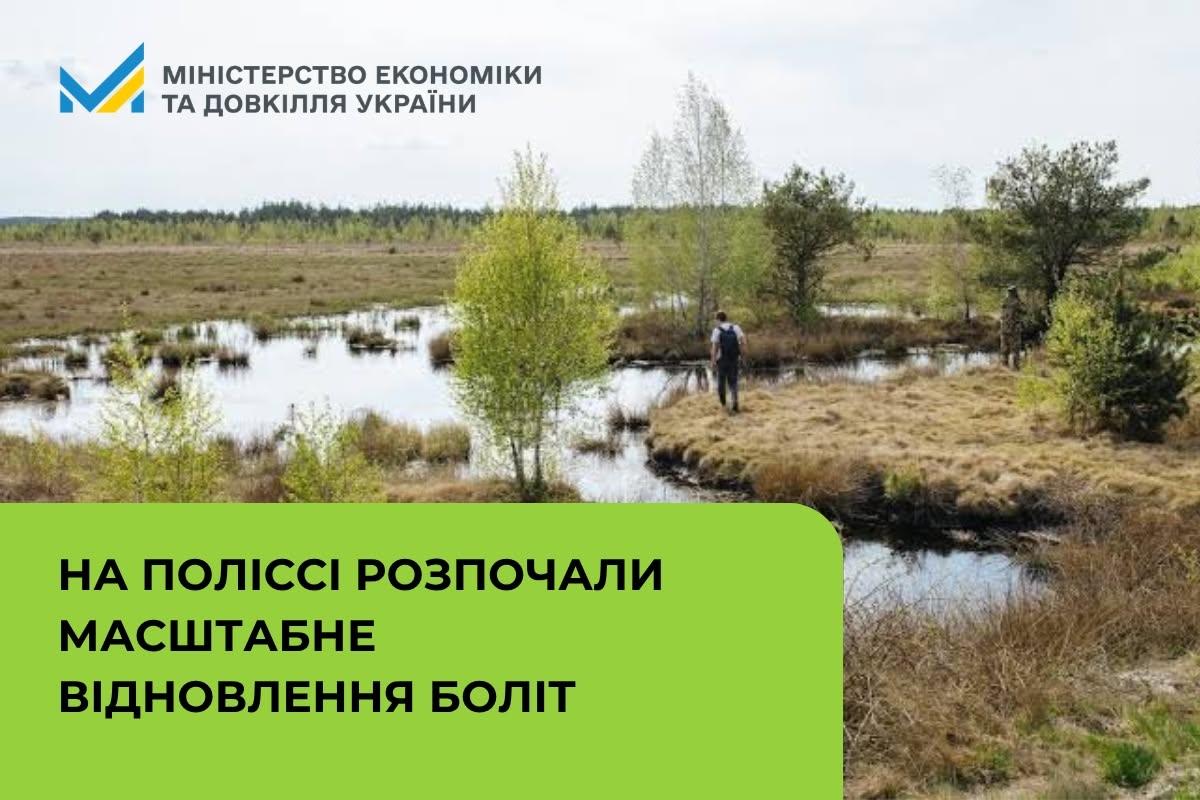 На Поліссі розпочали масштабне відновлення боліт