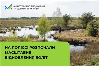 На Поліссі розпочали масштабне відновлення боліт